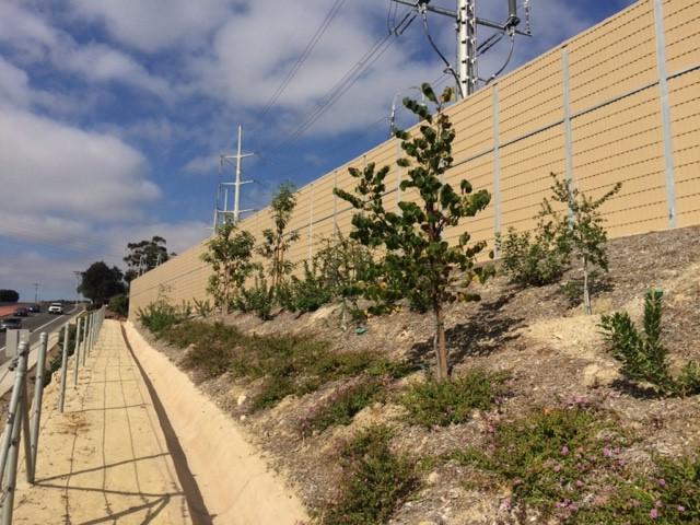 Drought Tolerant Landscaping